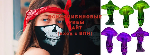 СК Балахна