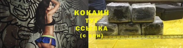 мяу мяу мука Баксан