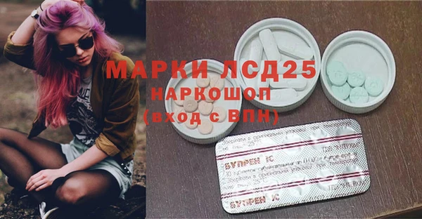 мяу мяу мука Баксан