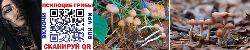 цена   гидра вход  Галлюциногенные грибы Magic Shrooms  Старый Крым 